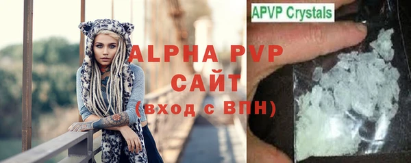 спайс Арсеньев