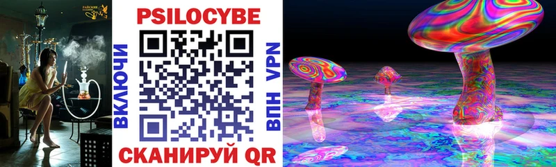 Псилоцибиновые грибы MAGIC MUSHROOMS  наркотики  блэк спрут зеркало  Мамоново 